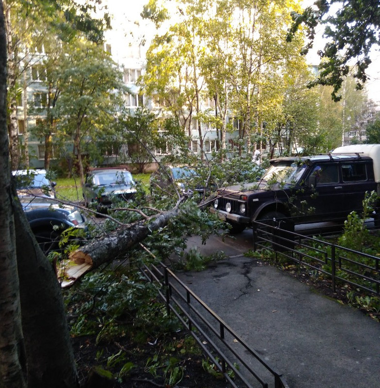 Искровский проспект, 28